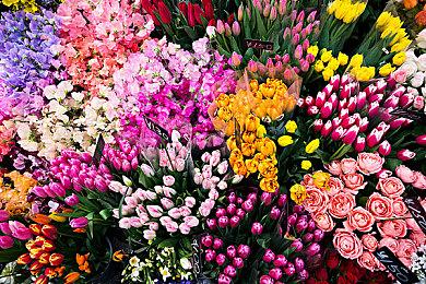 任天堂Switch在线追加新游 经典《路易吉洋馆》入库