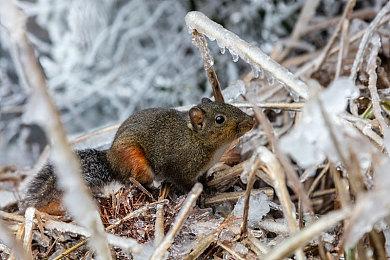 索尼公布3月欧美PS游戏下载排名 《生化4》第一