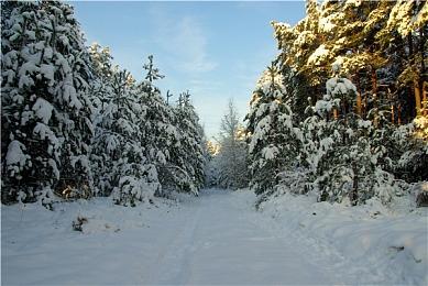 《黑神话》官方叮嘱玩家：想发现更多惊喜可戒网几天